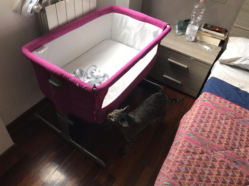 Culla Next2me Chicco Recensioni Pagina 5