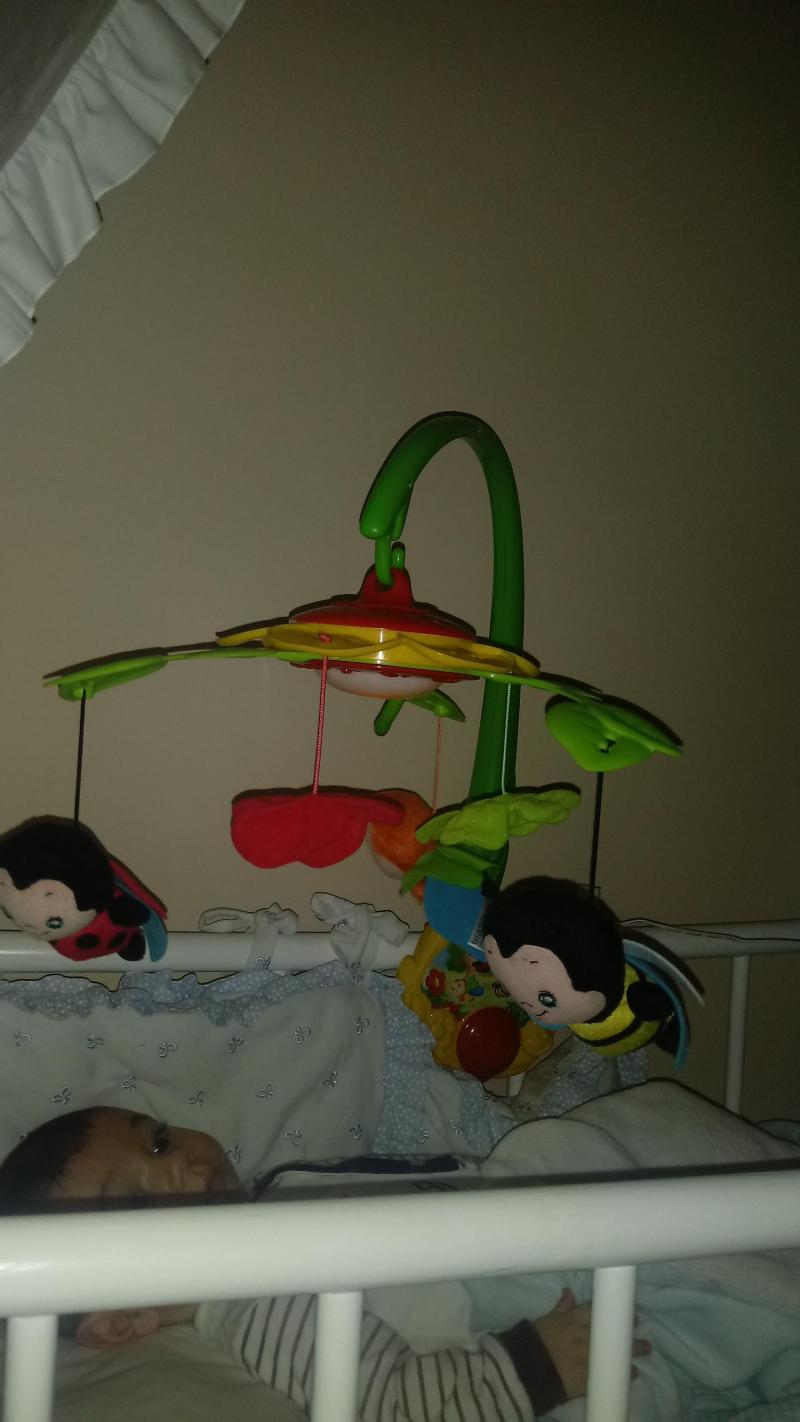 Casina delle api Chicco : Recensioni