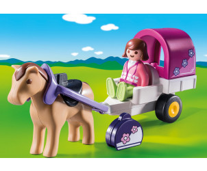 Carrozza con cavallo