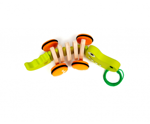 Coccodrillo Trainabile 