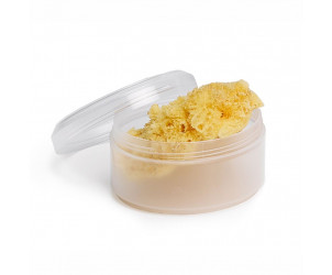 Spugna naturale Piccola con Scatola