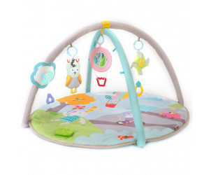 Palestrina Musical Nature Baby Gym