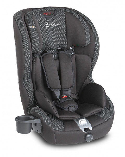 Seggiolino auto Pegasus plus Isofix Gruppo 1/2/3 Giordani ...