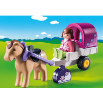 Carrozza con cavallo