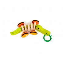 Coccodrillo Trainabile 