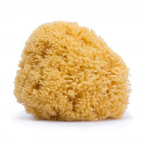 Spugna naturale Media