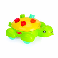 Tartaruga con forme incastrabili